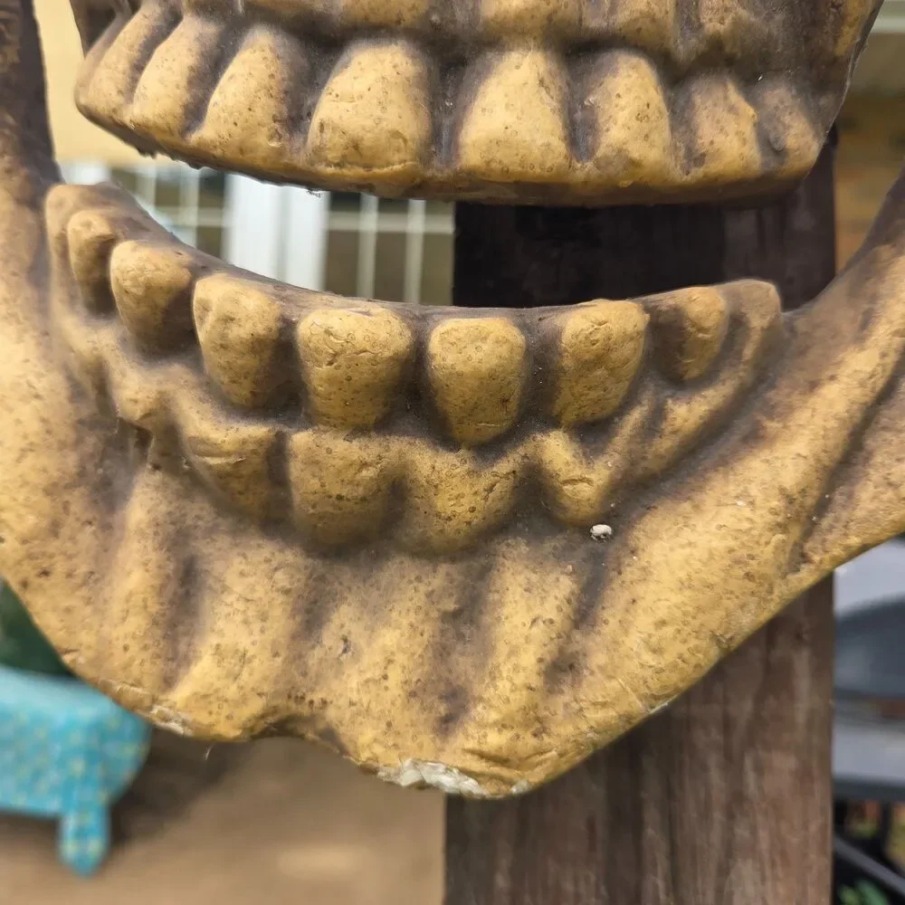 Large Foam Skull Face Wall Hanging 19.5